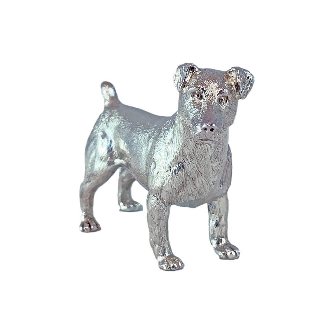 Silver Jack Russell