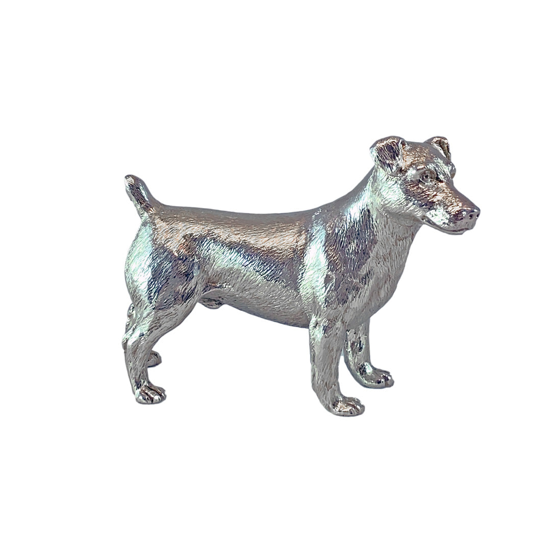 Silver Jack Russell