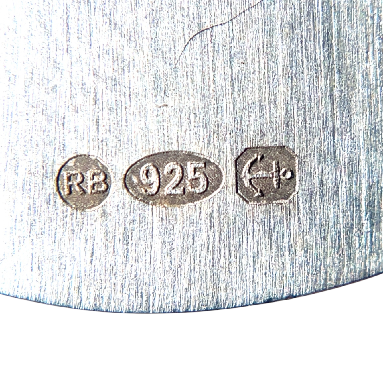 Silver Pisces Disk Pendant (22mm) & Chain (16-18")