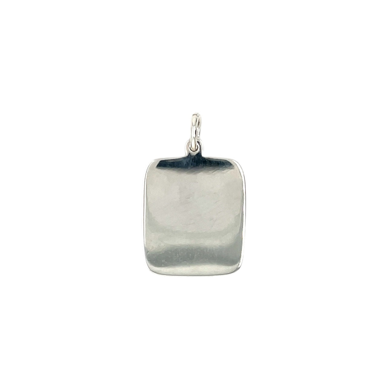Silver Dog Tag Pendant & Chain (16-18")