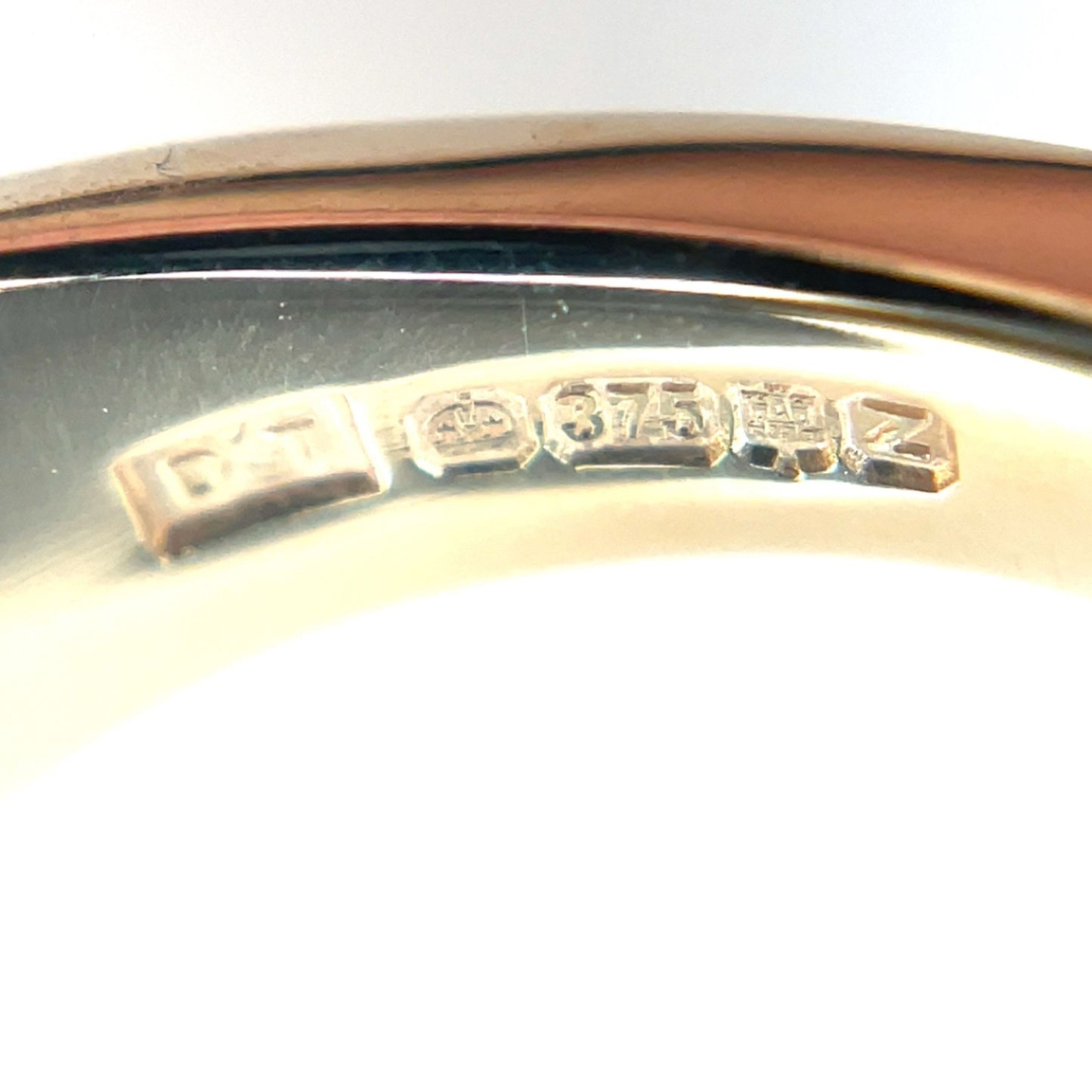 9ct Yellow Gold Oval Bloodstone Signet Ring (13x11mm)