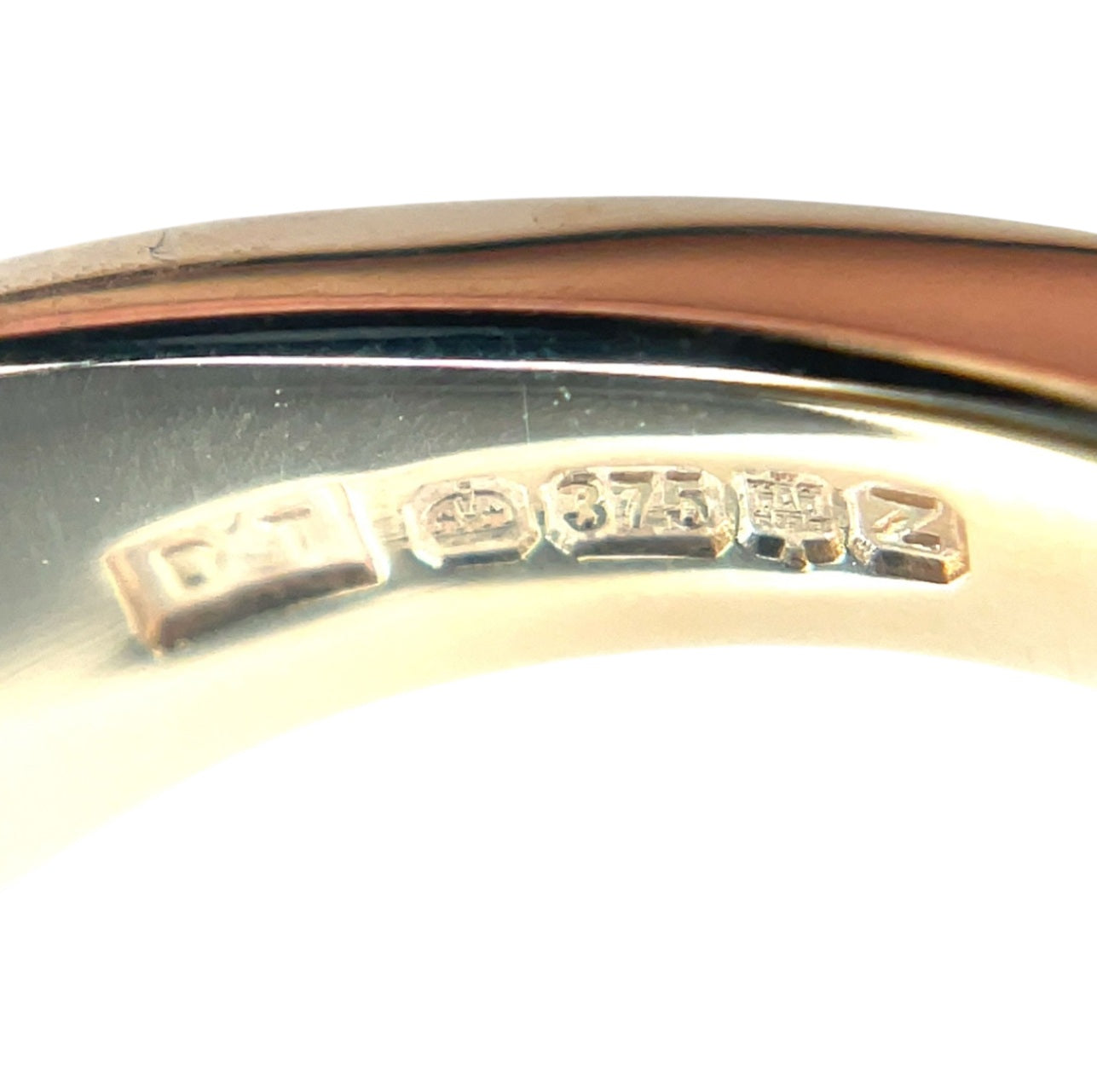 9ct Yellow Gold Oval Bloodstone Signet Ring (13x11mm)