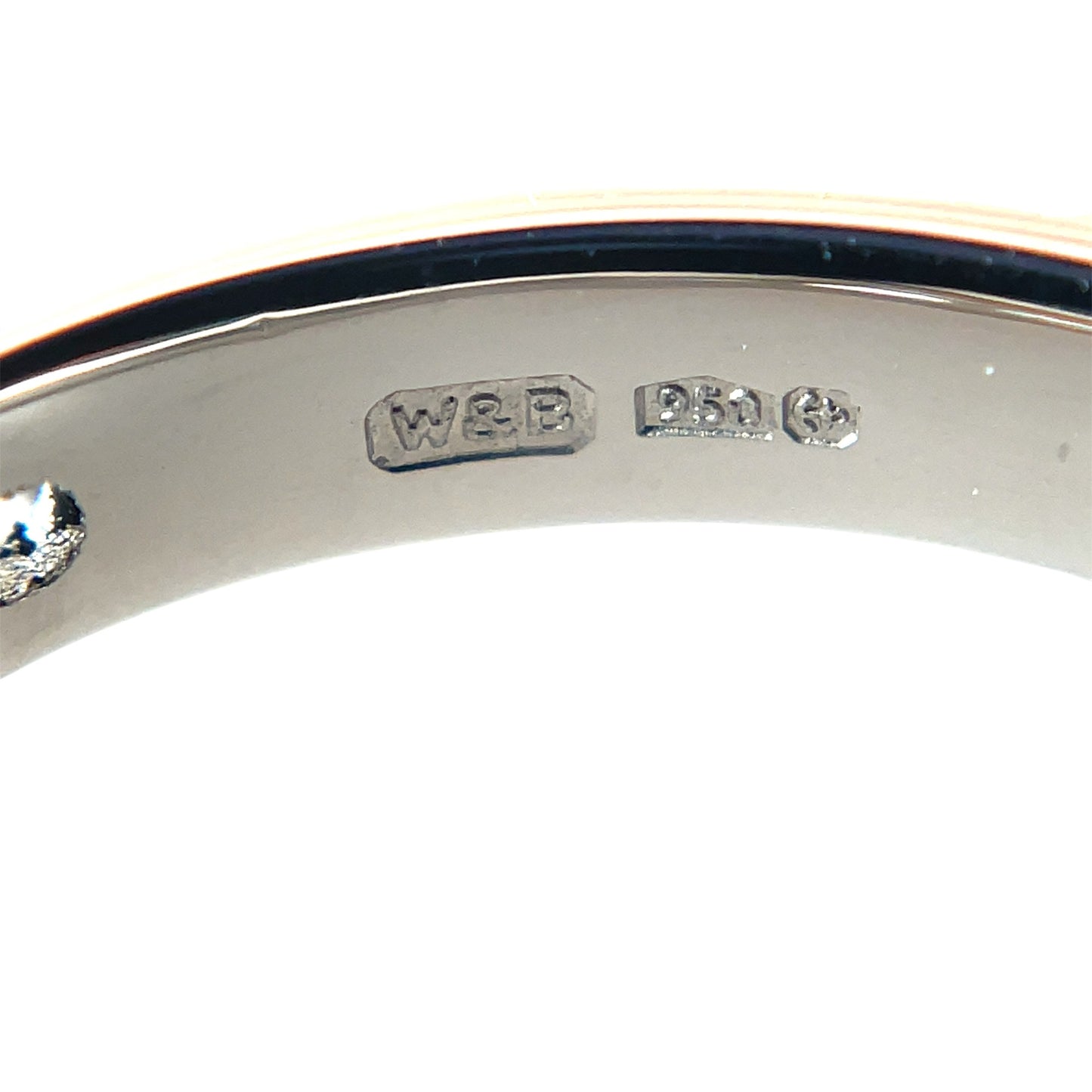 Platinum Claw-Set Diamond Eternity (M)