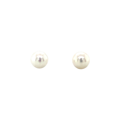 9ct Yellow Gold Akoya Pearl Stud Earrings (7-7.5mm)