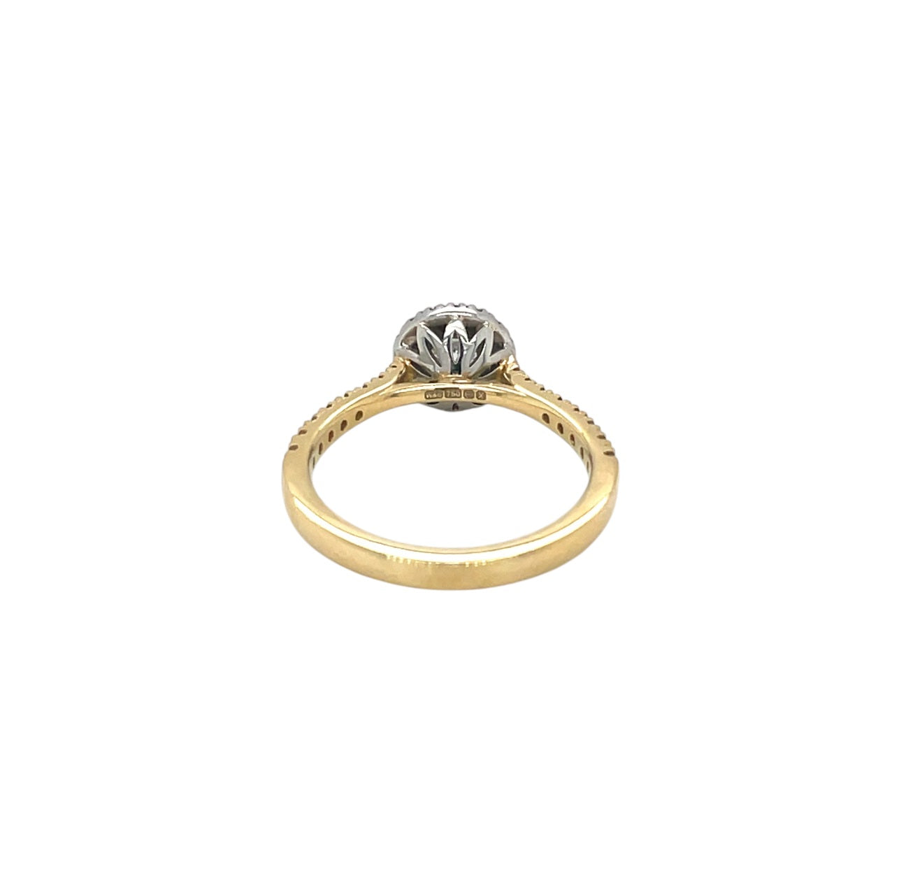 18ct Yellow Gold & Platinum Diamond Halo Ring (L)