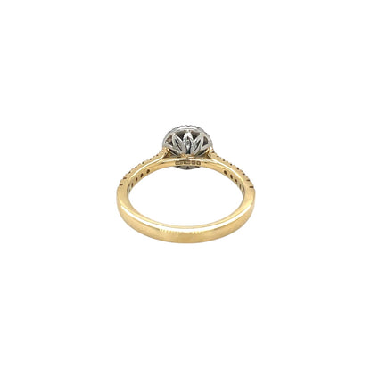 18ct Yellow Gold & Platinum Diamond Halo Ring (L)