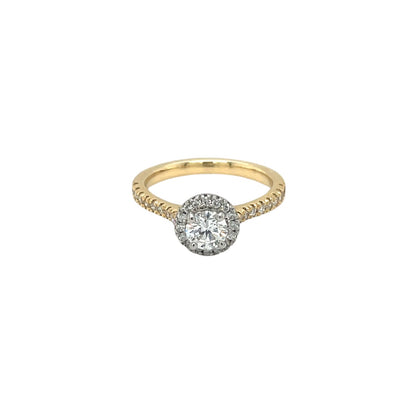 18ct Yellow Gold & Platinum Diamond Halo Ring (L)