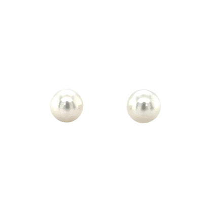 9ct Yellow Gold Freshwater Pearl Stud Earrings (8-8.5mm)