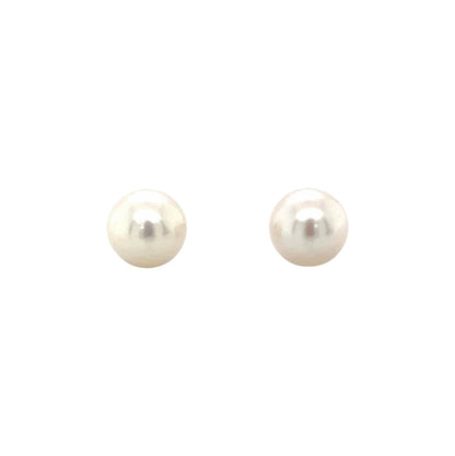 9ct Yellow Gold Freshwater Pearl Stud Earrings (7-7.5mm)