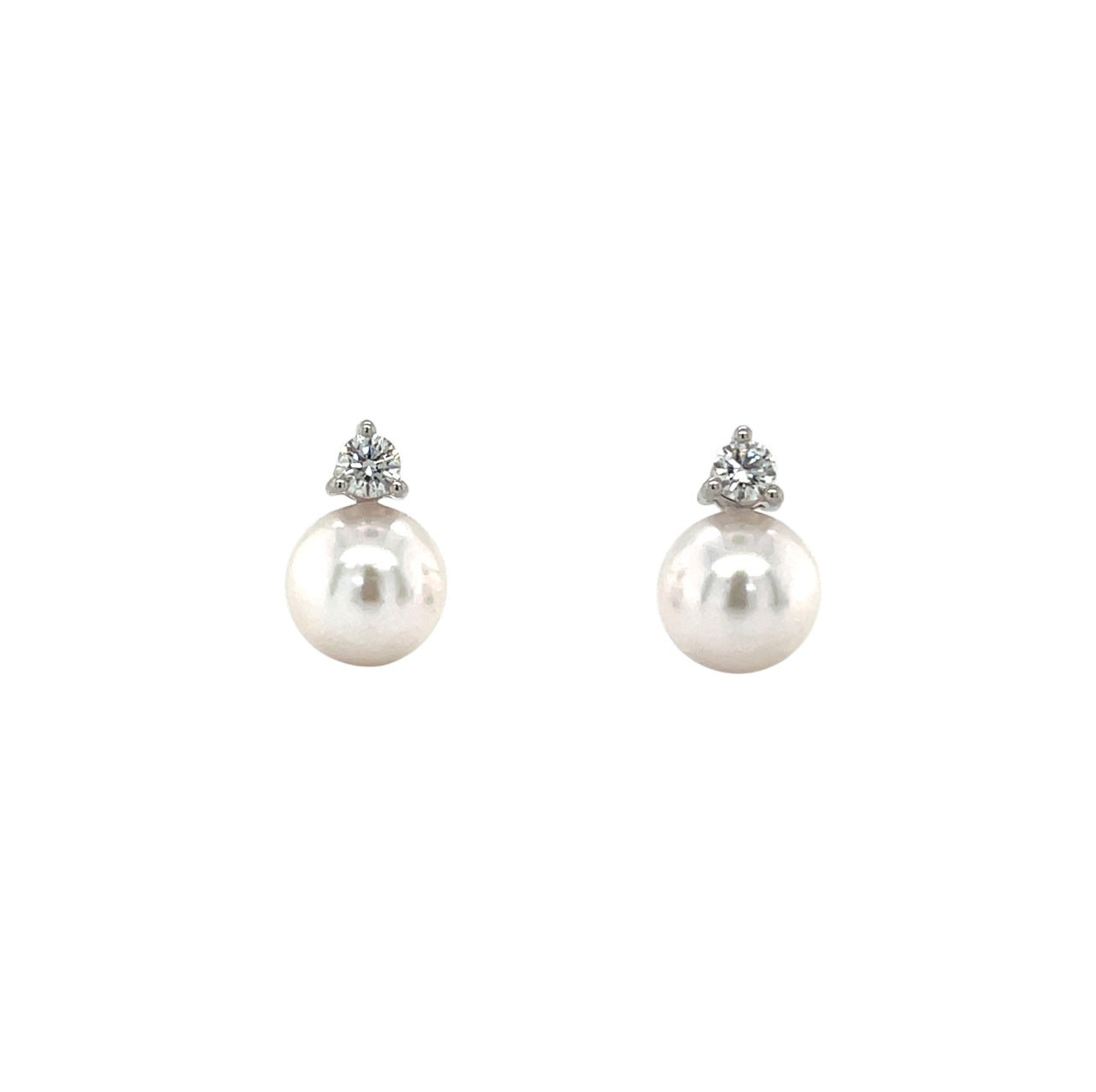 18ct White Gold Akoya Pearl & Diamond Stud Earrings