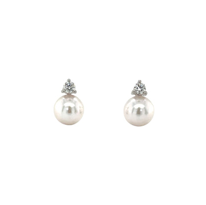 18ct White Gold Akoya Pearl & Diamond Stud Earrings