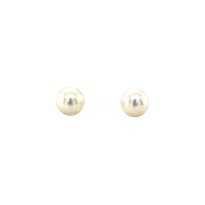 9ct Yellow Gold Akoya Pearl Stud Earrings (8-8.5mm)