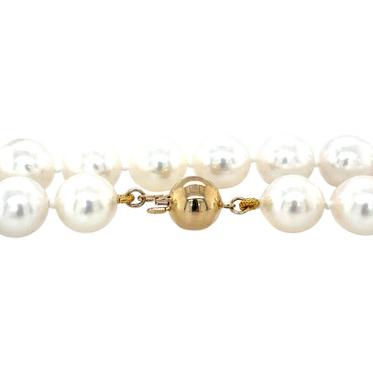 18ct Yellow Gold Akoya Pearl Necklace (18")