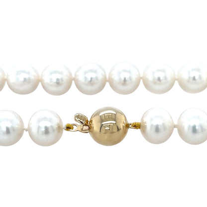 9ct Yellow Gold Freshwater Pearl Necklace (18")