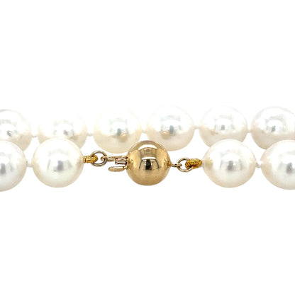 9ct Yellow Gold Akoya Pearl Necklace