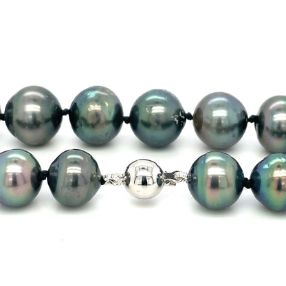 Pre owned single strand of tahitian pearls 9.5- 11.5mm set with an 18ct white gold ball clasp