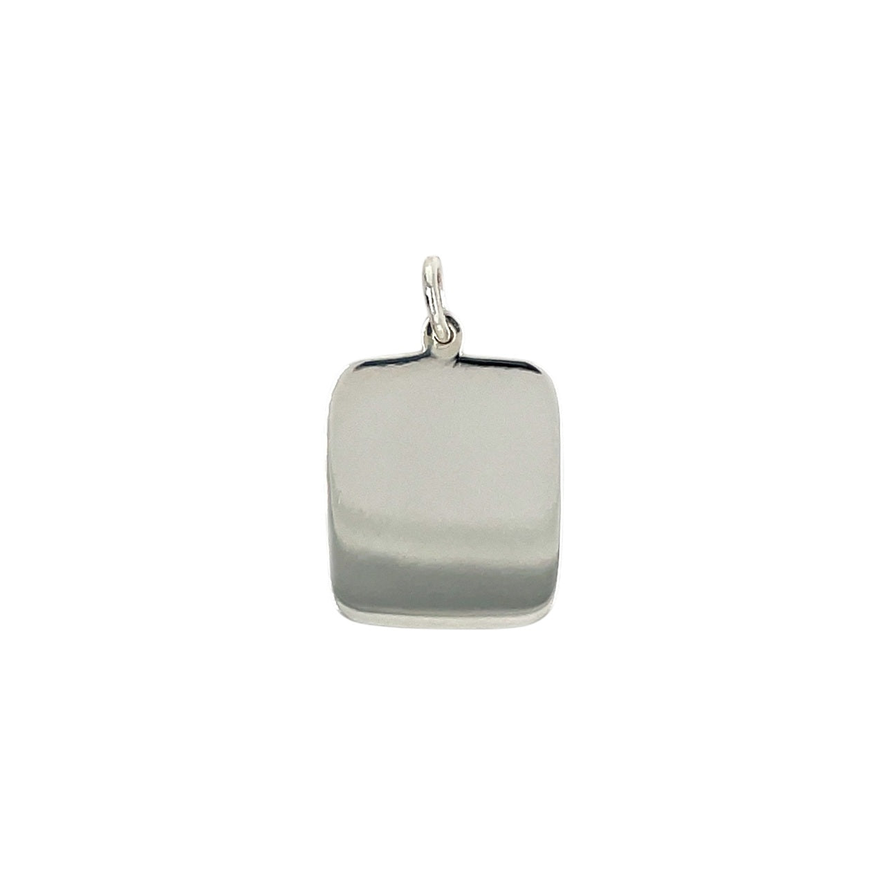 Silver Dog Tag Pendant & Chain (16-18")