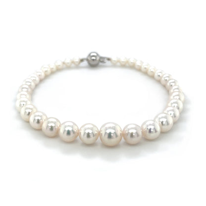 18ct White Gold Akoya Pearl Graduated Bracelet