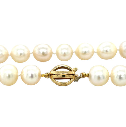 18ct Yellow Gold & Pearl Necklace (16")