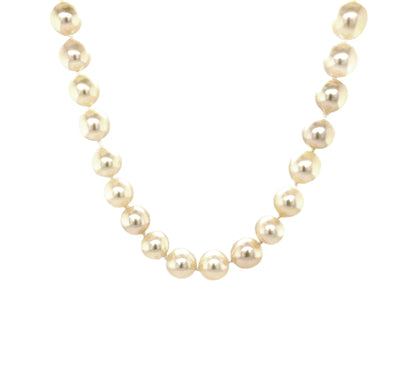 18ct Yellow Gold & Pearl Necklace (16")