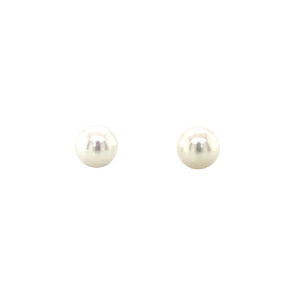 9ct White Gold Akoya Pearl Stud Earrings (7-7.5mm)