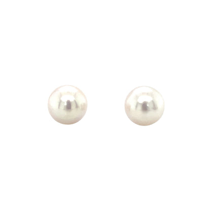 9ct White Gold Akoya Pearl Stud Earrings (9-9.5mm)