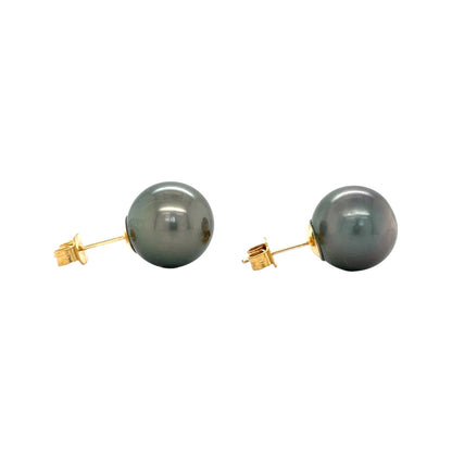 18ct Yellow Gold Tahitian Pearl Stud Earrings (11.5/12mm)