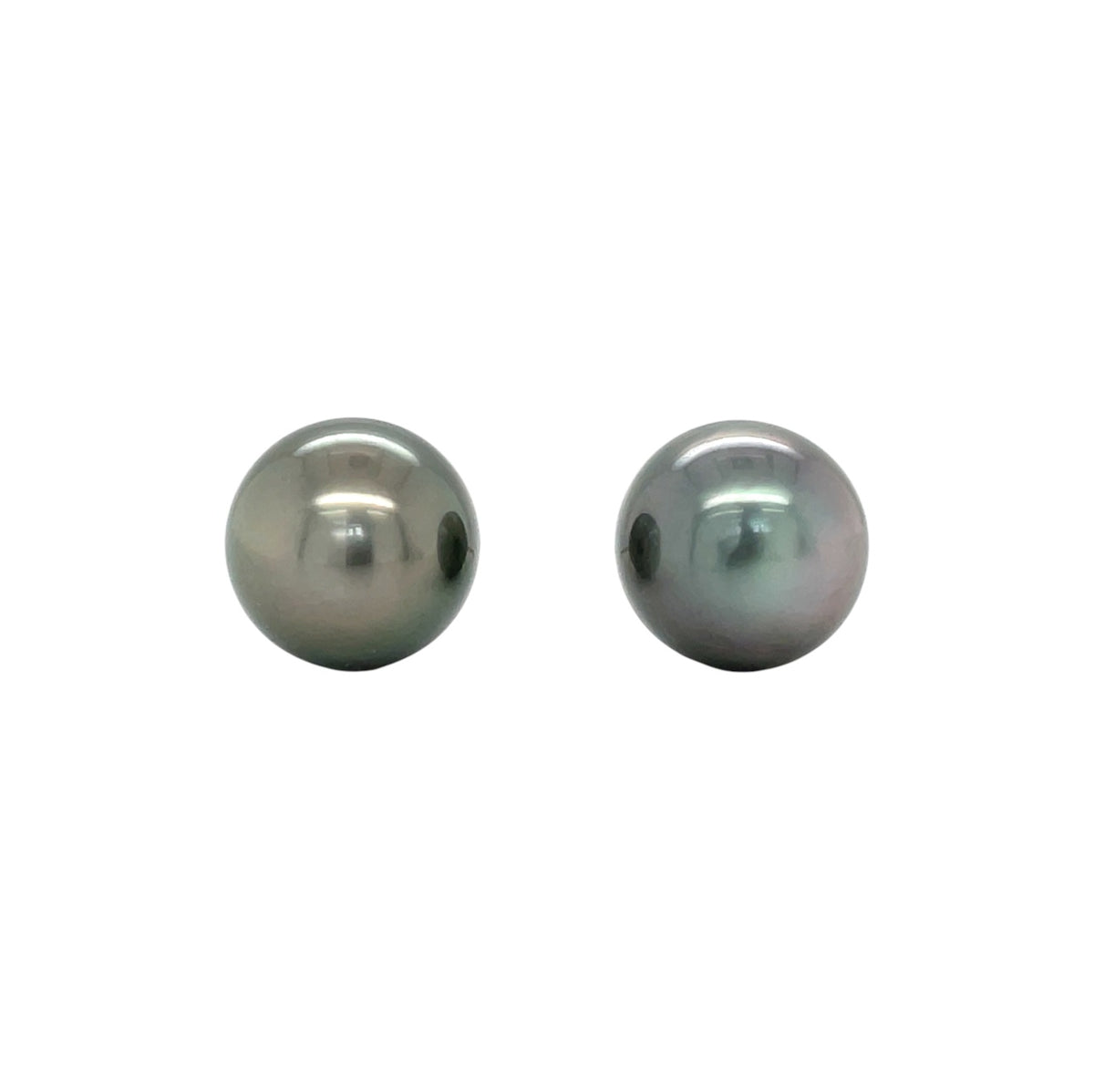 18ct Yellow Gold Tahitian Pearl Stud Earrings (11.5/12mm)