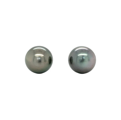 18ct Yellow Gold Tahitian Pearl Stud Earrings (11.5/12mm)