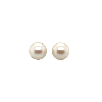 9ct Yellow Gold Akoya Pearl Stud Earrings