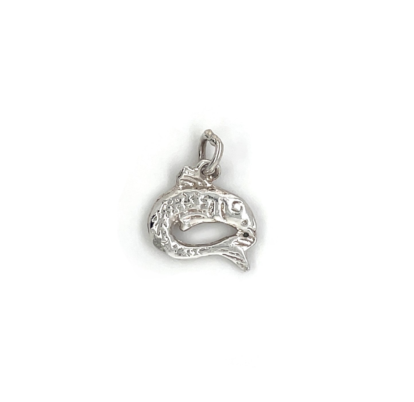 Silver Lucky Fish Charm