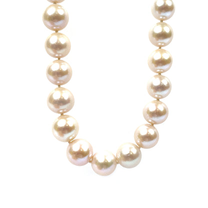 18ct Yellow Gold Freshwater Pearl Necklace (16")