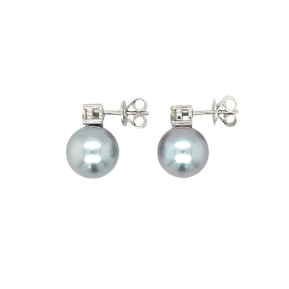 18ct White Gold Tahitian Pearl & Diamond Stud Earrings