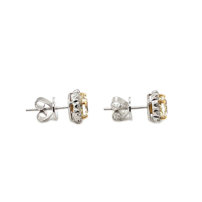 18ct White Gold Natural Yellow Diamond Stud Earrings