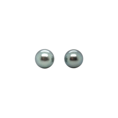 18ct White Gold Grey Tahitian Pearl Stud Earrings
