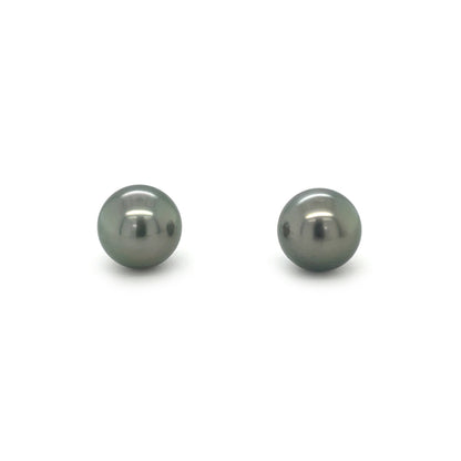 18ct White Gold Tahitian Pearl Stud Earrings (9-10mm)