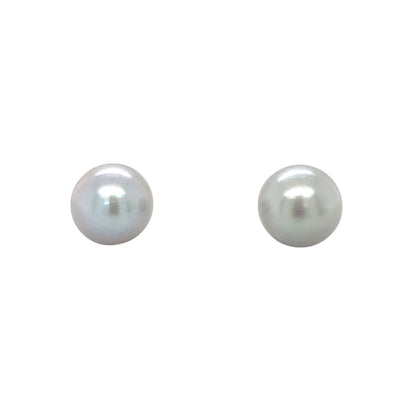 Silver Large Grey Freshwater Pearl Stud Earrings (12mm)