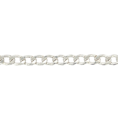 Silver Curb Charm Bracelet (8")