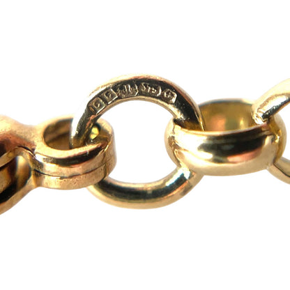 9ct Yellow Gold Round Belcher Chain (20")