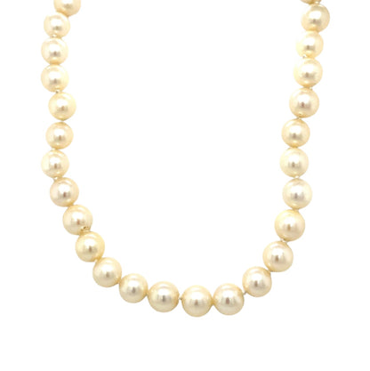 9ct Yellow Gold Cultured Pearl Necklace (16")