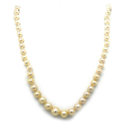 9ct Yellow Gold Graduated Pearl Necklace Strung with Knots