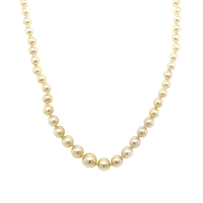 9ct Yellow Gold Graduated Pearl Necklace Strung with Knots (16")