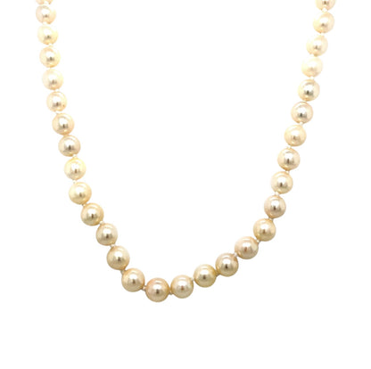 Pearl Choker Necklace (14")