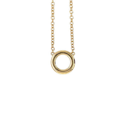 18ct Yellow Gold Rainbow Sapphire Circle Pendant & Chain (16-18")